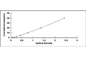 Typical standard curve (AFP-L3 Kit ELISA)