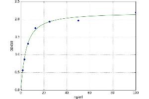Prostaglandin E Synthase (PTGES) ELISA Kit
