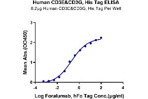 Immobilized Human CD3E&CD3G at 2 μg/mL (100 μL/Well) on the plate.
