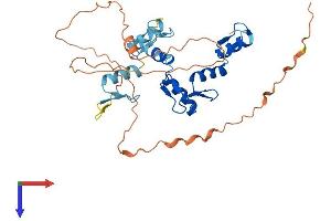 AlphaFold protein structure predicition of Human Recombinant GFI1B Protein, UniprotID Q5VTD9