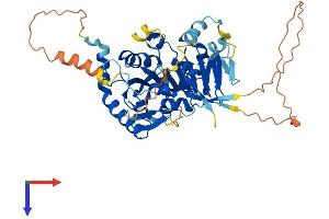 AlphaFold protein structure predicition of Human Recombinant METTL4 Protein, UniprotID Q8N3J2