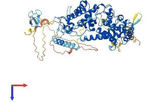 AlphaFold protein structure predicition of Mouse Recombinant Taf1b Protein, UniprotID P97358