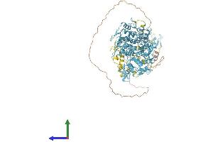 AlphaFold protein structure predicition of Human Recombinant ZNF721 Protein, UniprotID Q8TF20