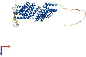 AlphaFold protein structure predicition of Human Recombinant TTC23 Protein, UniprotID Q5W5X9