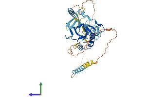 AlphaFold protein structure predicition of Human Recombinant ZCWPW2 Protein, UniprotID Q504Y3