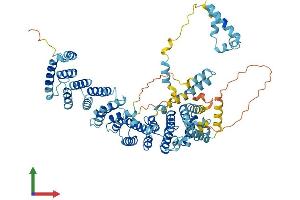 AlphaFold protein structure predicition of Mouse Recombinant Sdad1 Protein, UniprotID Q80UZ2