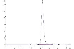 The purity of Mouse FAM3D is greater than 95 % as determined by SEC-HPLC. (FAM3D Protein (AA 26-223) (Fc Tag))