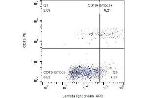Flow cytometry analysis (surface staining) of human peripheral blood with anti-human lambda light chain (4C2) APC. (Lambda-IgLC anticorps  (APC))