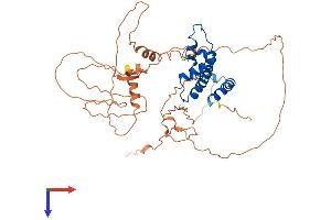 AlphaFold protein structure predicition of Human Recombinant NFYC Protein, UniprotID Q13952