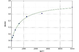 Ribosome Binding Protein 1 (RRBP1) ELISA Kit
