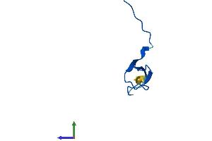 AlphaFold protein structure predicition of Mouse Recombinant Polr2k Protein, UniprotID Q63871