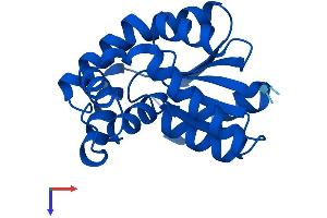 AlphaFold protein structure predicition of Human Recombinant CMPK1 Protein, UniprotID P30085