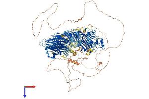 AlphaFold protein structure predicition of Mouse Recombinant Synj2 Protein, UniprotID Q9D2G5