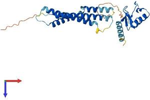 AlphaFold protein structure predicition of Human Recombinant NSMCE2 Protein, UniprotID Q96MF7
