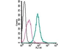 Cell surface detection of GPR55 in live intact mouse J774 macrophage cells: (black line) Cells.