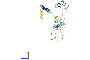 AlphaFold protein structure predicition of Human Recombinant AKIP1 Protein, UniprotID Q9NQ31