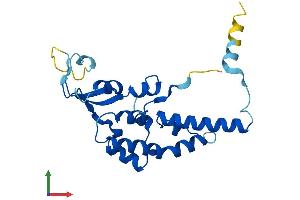 AlphaFold protein structure predicition of Human Recombinant GINS3 Protein, UniprotID Q9BRX5