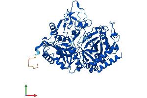 AlphaFold protein structure predicition of Human Recombinant PCK1 Protein, UniprotID P35558