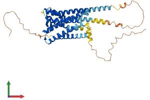 AlphaFold protein structure predicition of Mouse Recombinant Ptger1 Protein, UniprotID P35375