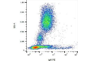 Flow cytometry analysis (surface staining) of human peripheral blood cells with anti-human IgM (CH2) PE.