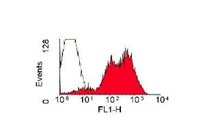 Staining of rat spleen cells with Mouse anti Rat RT1B (Class II Monomorphic): FITC (ABIN118331). (MHC Class II RT-1B anticorps  (FITC))