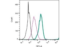 Cell surface detection of AXL by direct flow cytometry in live intact mouse  microglia cells: + Rabbit IgG Isotype Control-FITC (ABIN7582044). (AXL anticorps  (Extracellular) (FITC))