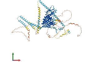AlphaFold protein structure predicition of Human Recombinant KIF3C Protein, UniprotID O14782