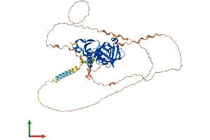 AlphaFold protein structure predicition of Mouse Recombinant Dok7 Protein, UniprotID Q18PE0