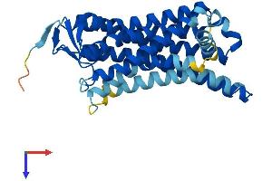 AlphaFold protein structure predicition of Human Recombinant OR52A1 Protein, UniprotID Q9UKL2