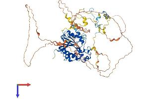 AlphaFold protein structure predicition of Mouse Recombinant Mepce Protein, UniprotID Q8K3A9