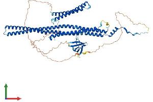 AlphaFold protein structure predicition of Human Recombinant FNBP1 Protein, UniprotID Q96RU3