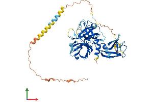 AlphaFold protein structure predicition of Human Recombinant TMPRSS5 Protein, UniprotID Q9H3S3