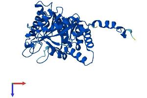 AlphaFold protein structure predicition of Mouse Recombinant Alad Protein, UniprotID P10518