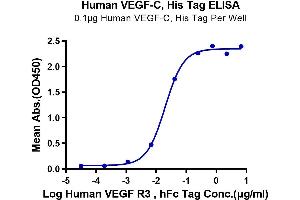 Immobilized Human VEGF-C, His Tag at 1 μg/mL (100 μL/well) on the plate.