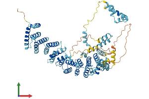 AlphaFold protein structure predicition of Human Recombinant SDAD1 Protein, UniprotID Q9NVU7