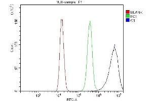 Flow Cytometry analysis of 293T cells using anti-C3 antibody (ABIN7599899). (C3 anticorps  (AA 1277-1538))
