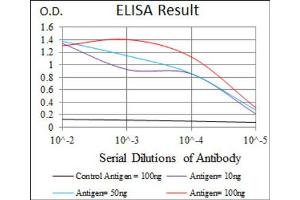 Red: Control Antigen (100ng) ; Purple: Antigen (10ng) ; Green: Antigen (50ng) ; Blue: Antigen (100ng). (CCL2 anticorps)