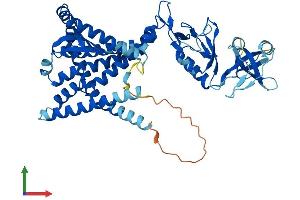 AlphaFold protein structure predicition of Mouse Recombinant Mbtps2 Protein, UniprotID Q8CHX6