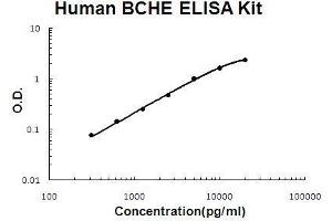 Human BCHE PicoKine ELISA Kit standard curve (Butyrylcholinesterase Kit ELISA)
