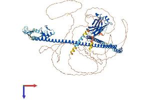AlphaFold protein structure predicition of Mouse Recombinant Trim37 Protein, UniprotID Q6PCX9