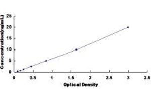 Typical standard curve (FMO1 Kit ELISA)