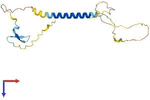 AlphaFold protein structure predicition of Mouse Recombinant Tnfrsf13c Protein, UniprotID Q9D8D0
