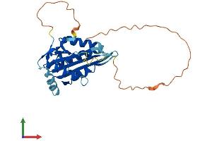 AlphaFold protein structure predicition of Human Recombinant MAF1 Protein, UniprotID Q9H063