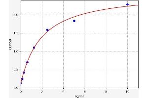 Typical standard curve (CNN1 Kit ELISA)