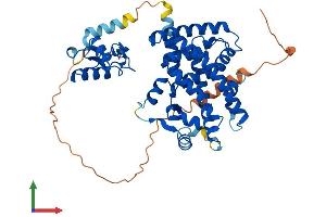 AlphaFold protein structure predicition of Human Recombinant PPARA Protein, UniprotID Q07869