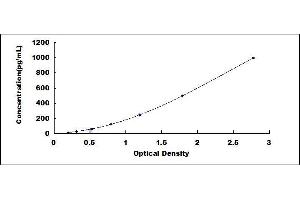 R-Spondin 1 (RSPO1) ELISA Kit