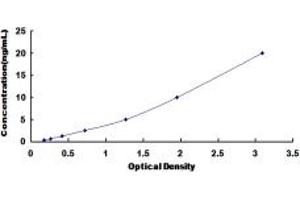 Typical standard curve (OSCP1 Kit ELISA)