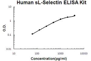 Human sL-Selectin Accusignal ELISA Kit Human sL-Selectin AccuSignal ELISA Kit standard curve. (sL-Selectin Kit ELISA)