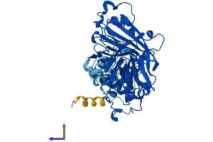 AlphaFold protein structure predicition of Mouse Recombinant Gdi2 Protein, UniprotID Q61598
