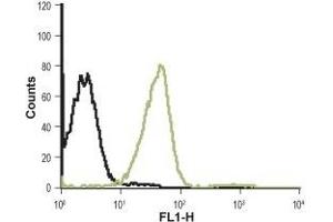 Cell surface detection of CXCR1 in Jurkat living cells: (black line) Unstained cells.